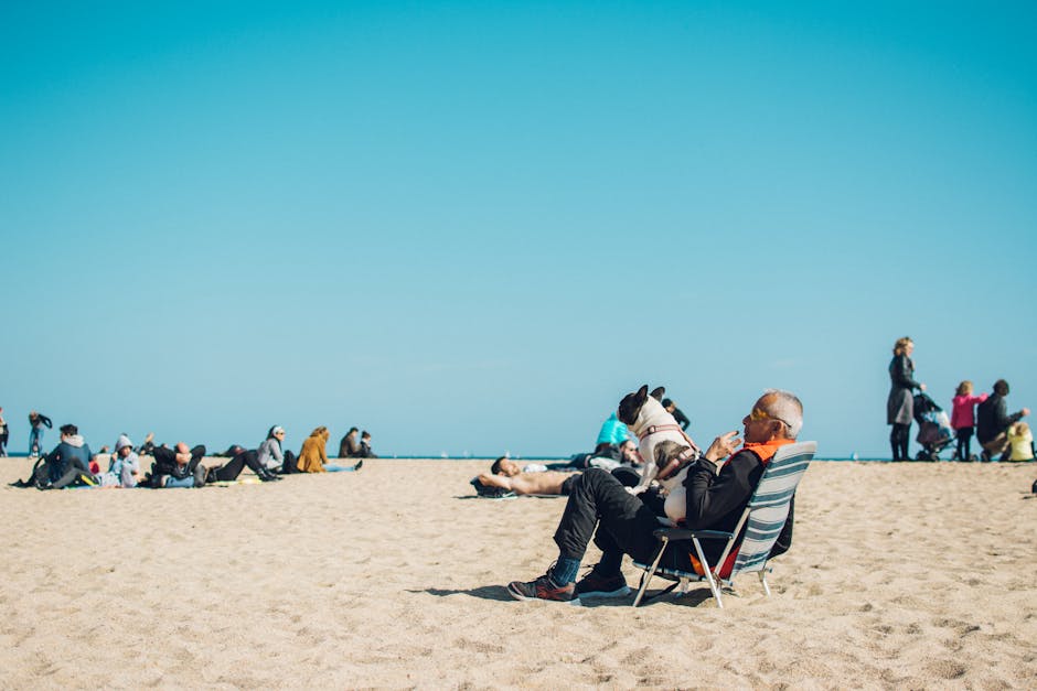 Read more about the article Building a nimble strategy